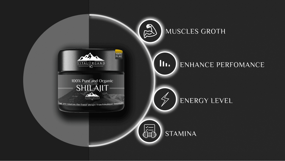 Benefit of shilajit