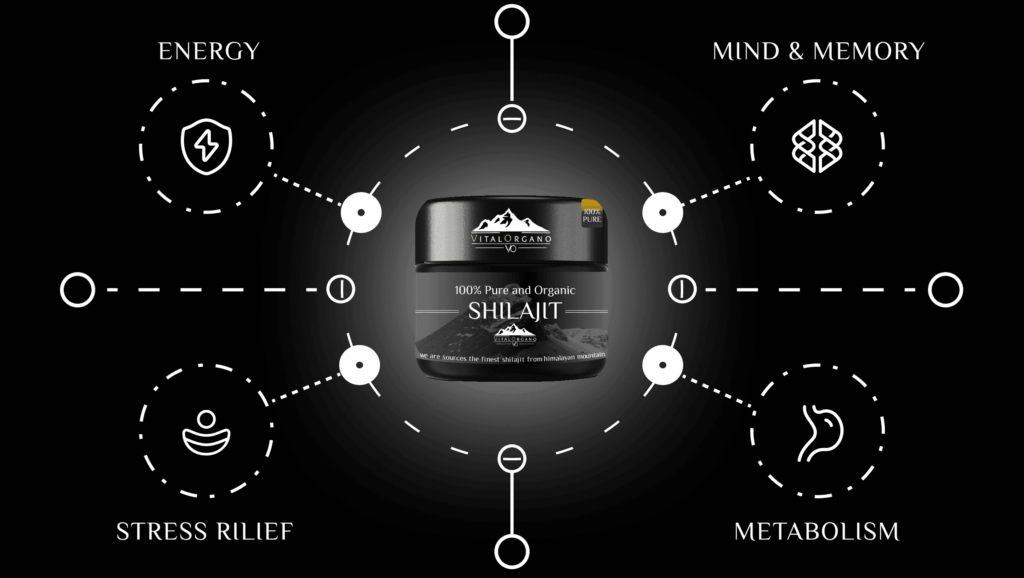 Shilajit support immune system