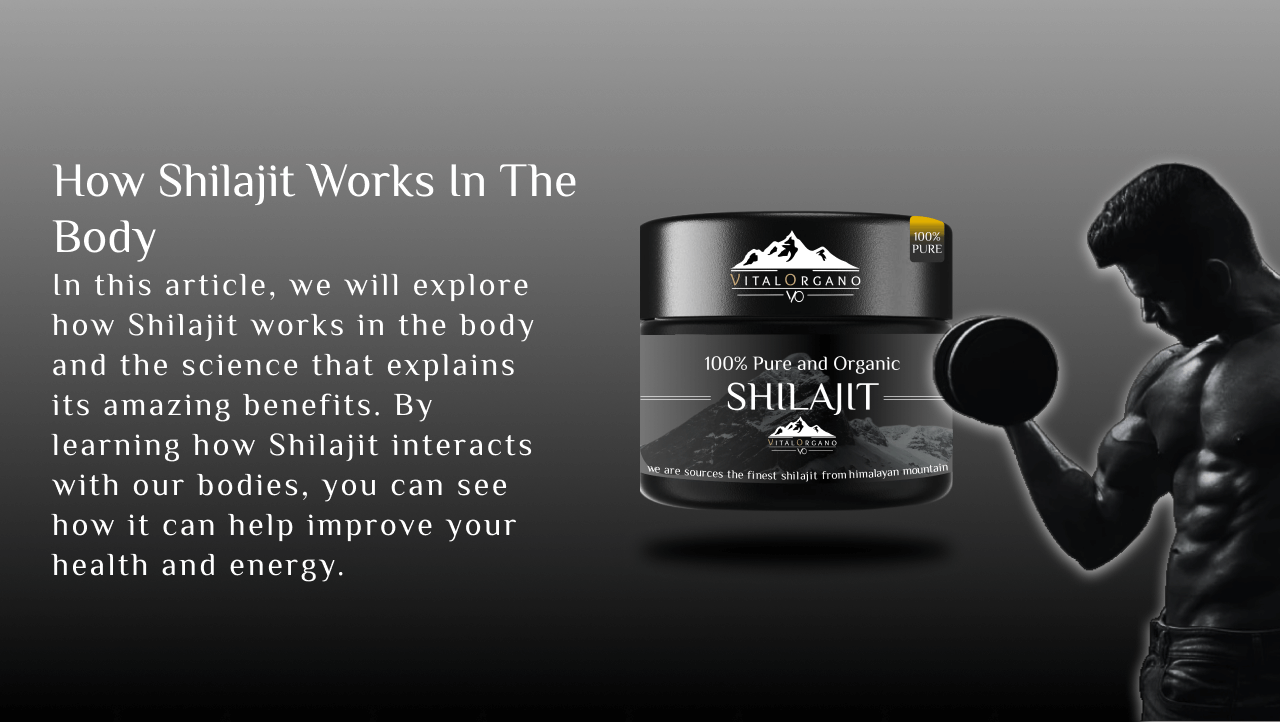 How Shilajit works in the body
